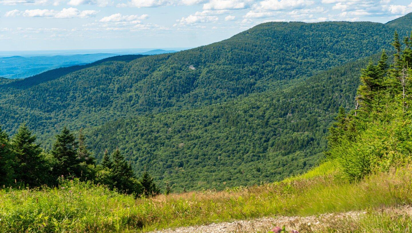 Bolton Mountain summer vista